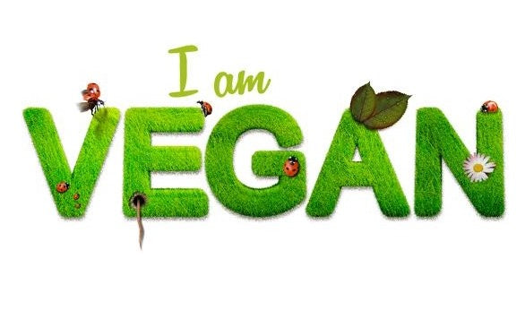 Vegan Sandals and Shoes