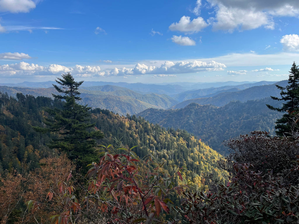 Hiking Shoes Appalachian Mountains