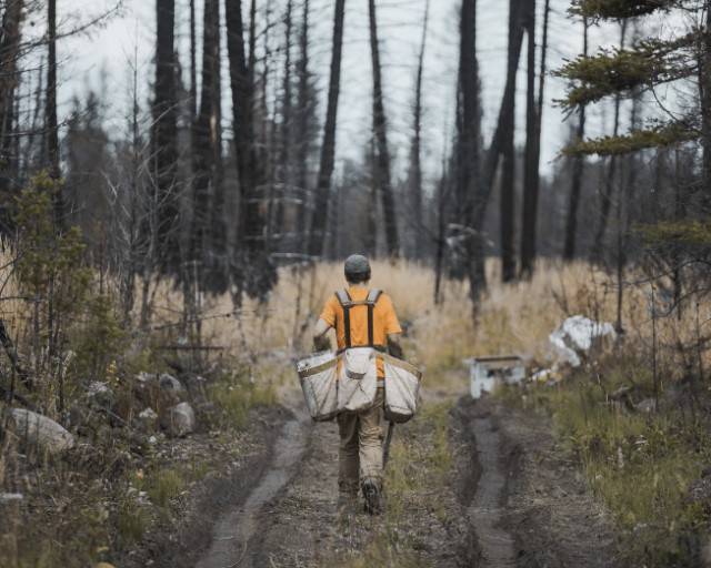 Viakix Partners With One Tree Planted